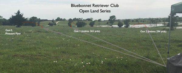 Open First series